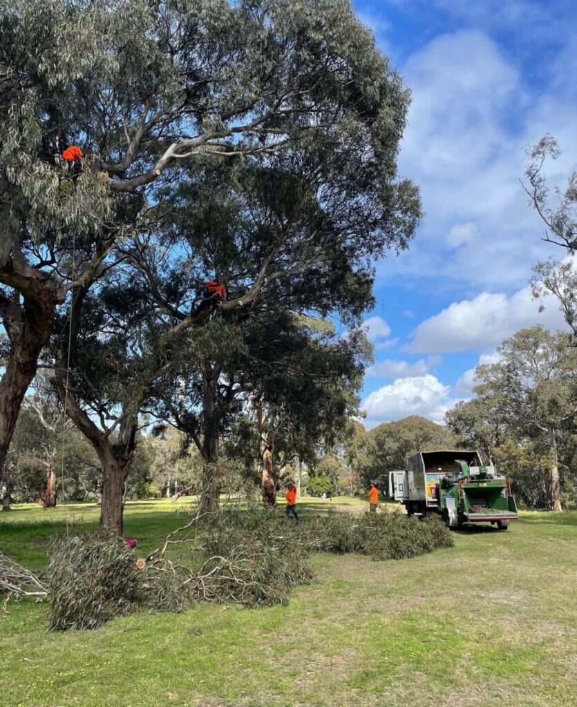 Tree & Land Services in Australia
