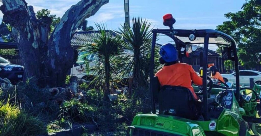 Tree services Sydney