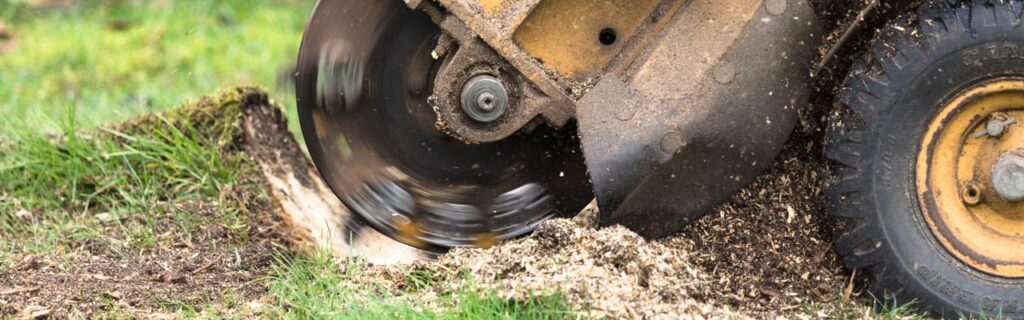Absolutely Tree Services provides professional stump grinding and removal services in Sydney.
