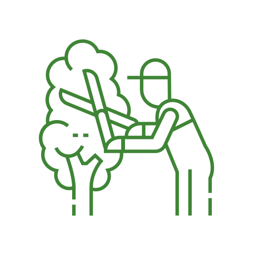 Tree Trimming & Pruning