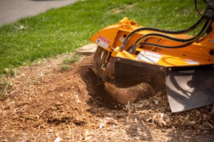 tree stump removal Sydney